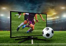 牌九高手为什么稳（牌九高手为何如此稳健）