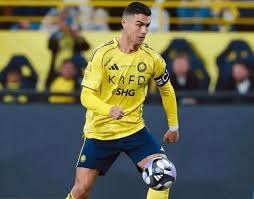 解析弗拉迪米尔葛雷诺如何平衡打击技巧与原始怪力在现代的进化