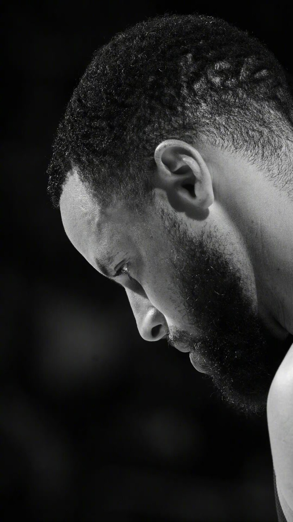 从滑雪到滑 从滑雪到滑