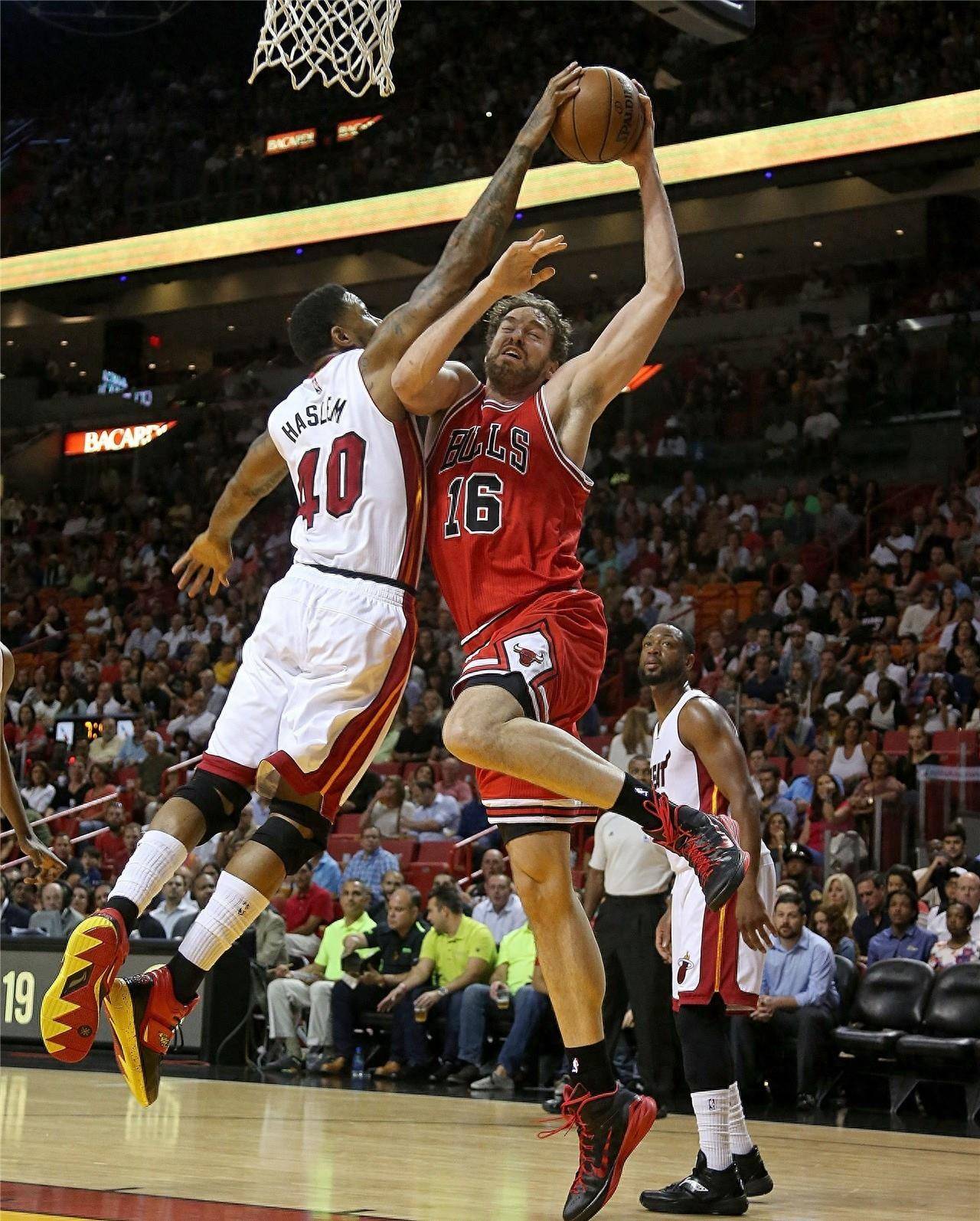 能性正在快 能性正在快